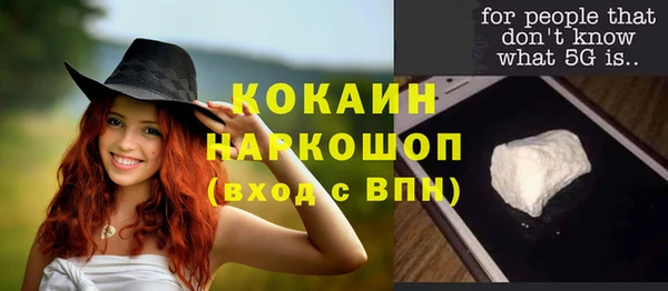 прущие грибы Балахна