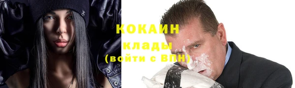 прущие грибы Балахна