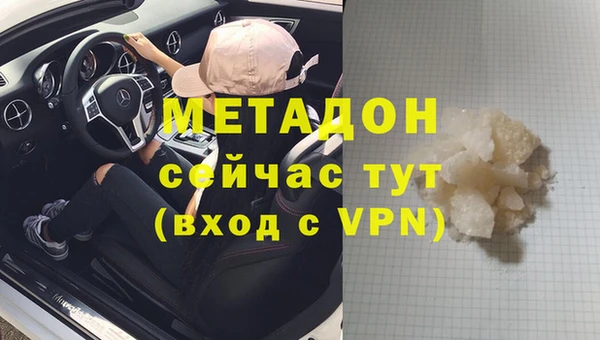 прущие грибы Балахна