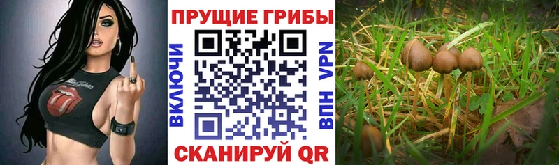 Псилоцибиновые грибы MAGIC MUSHROOMS  Лангепас 